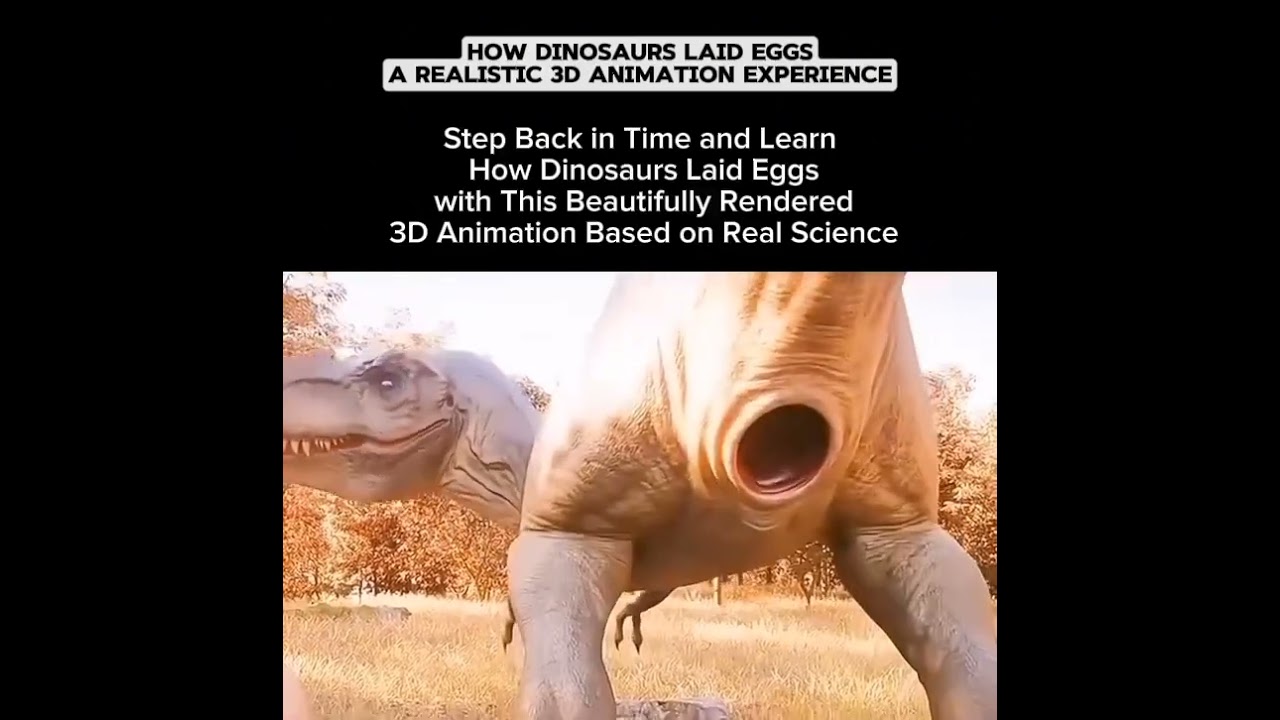 This how dinosaurs laid eggs
