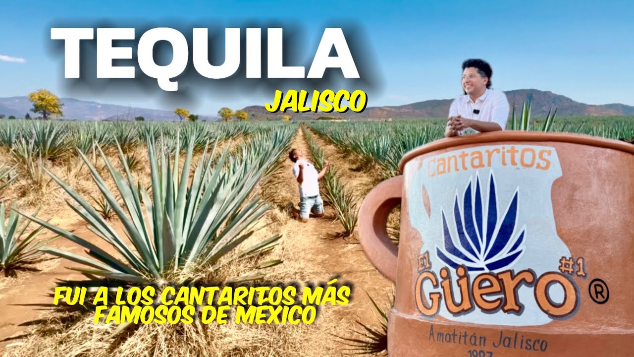 ¿CUÁNTO CUESTA IR A TEQUILA? 🇲🇽 tour de 1 día en Tequila Jalisco + cantaritos el güero ✅