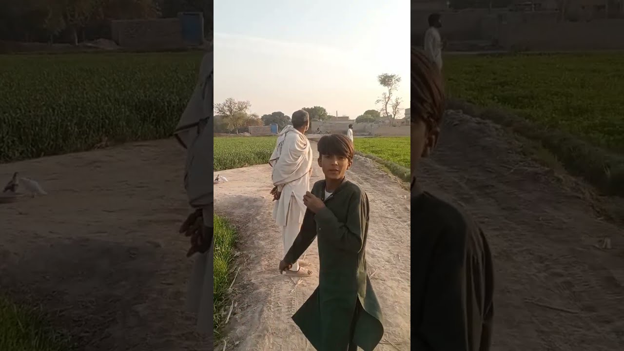 مانے جانے حریف کے کبوتروں کا زبردست اور شاندار مقابلہ//بھورل سائیں کے کبوتر\// اتنے شاندار کبوتر||