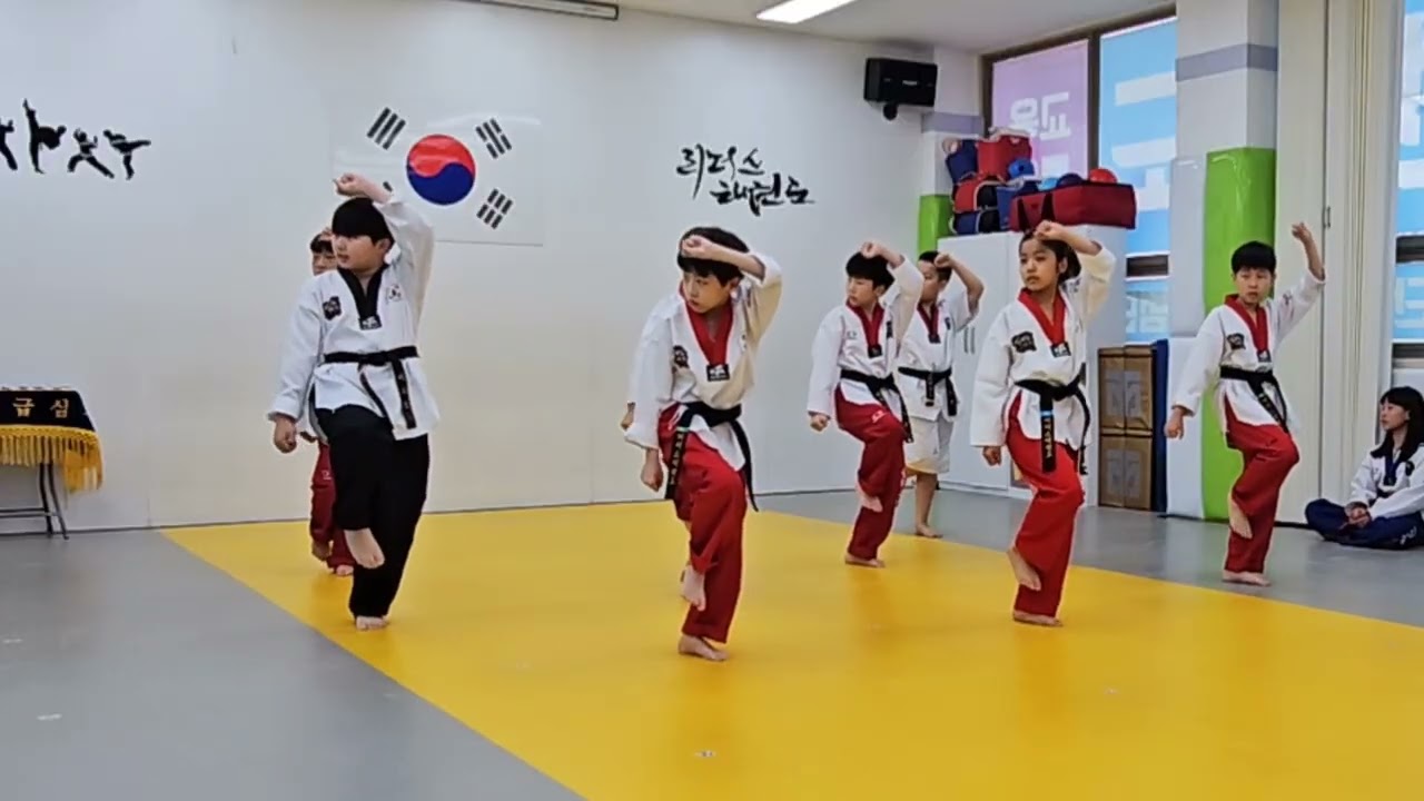 리더스태권도 공개심사1부