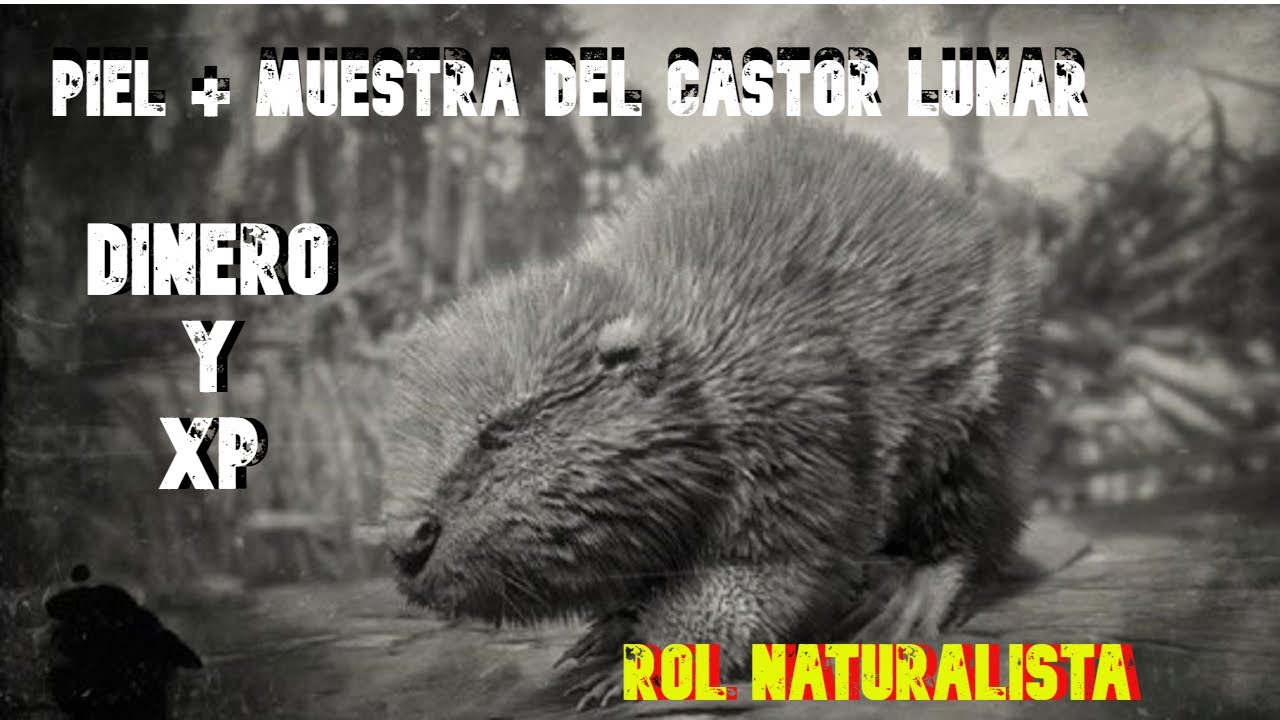 MUESTRA + PIEL DE ANIMAL LEGENDARIO *CASTOR LUNAR* ILIMITADAS/SOLO/RED DEAD REDEMPTION 2 ONLINE
