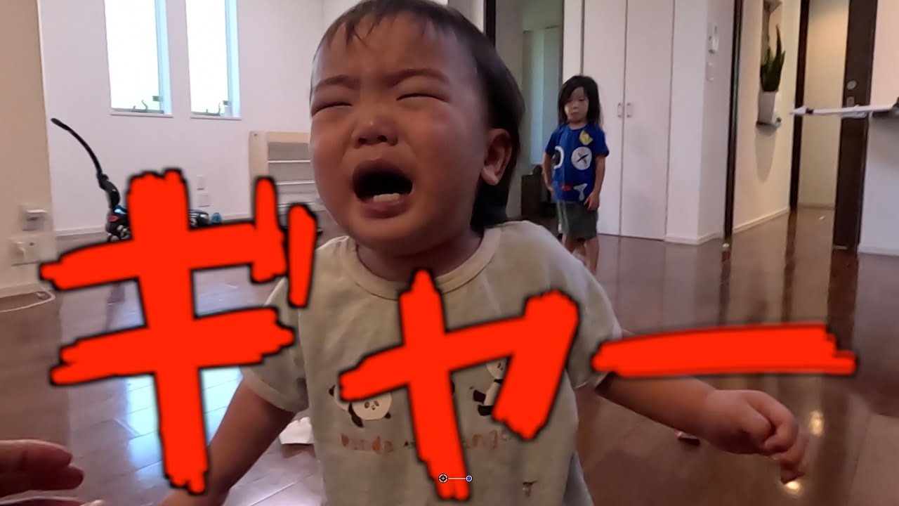 【森ケの日常】事故と事件多発の一日。
