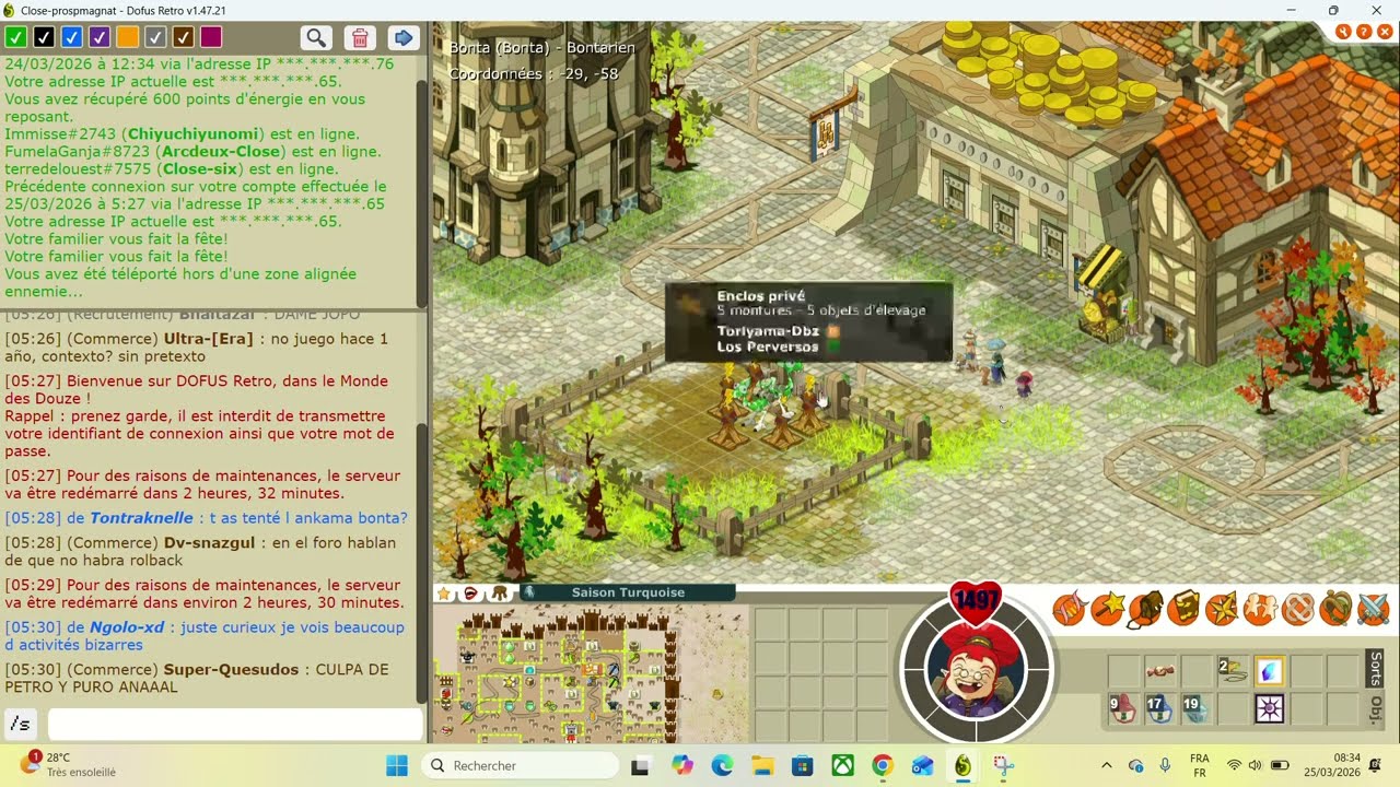 ROLLBACK DOFUS RETRO DE 3 SEMAINES... Mes pertes... Vid&eacute;o amateur souvenir