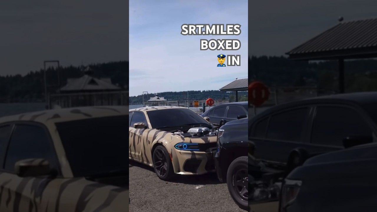 SRT MILES BOXED IN BY 🐷 