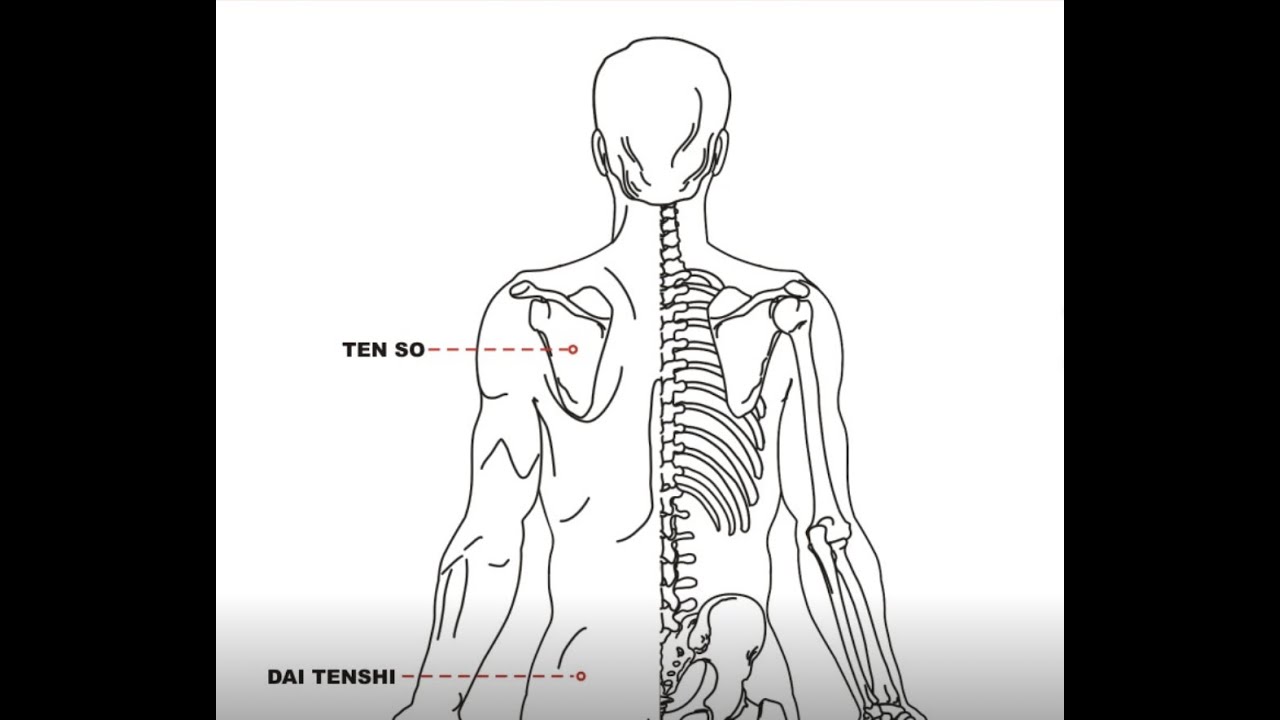 Shiatsu per la scapola e cervicale quando presentano rigidità e dolore