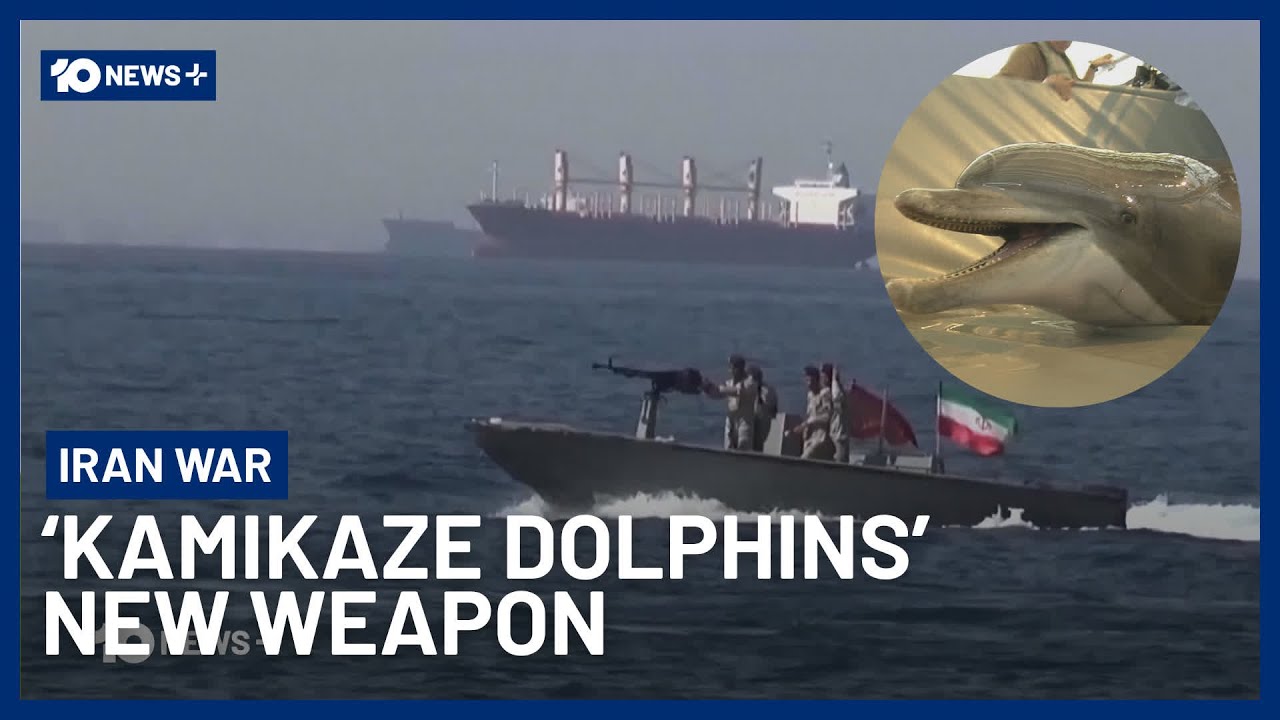 &laquo;Дельфинов-камикадзе&raquo; называют секретным оружием Ирана против США | 10 News+