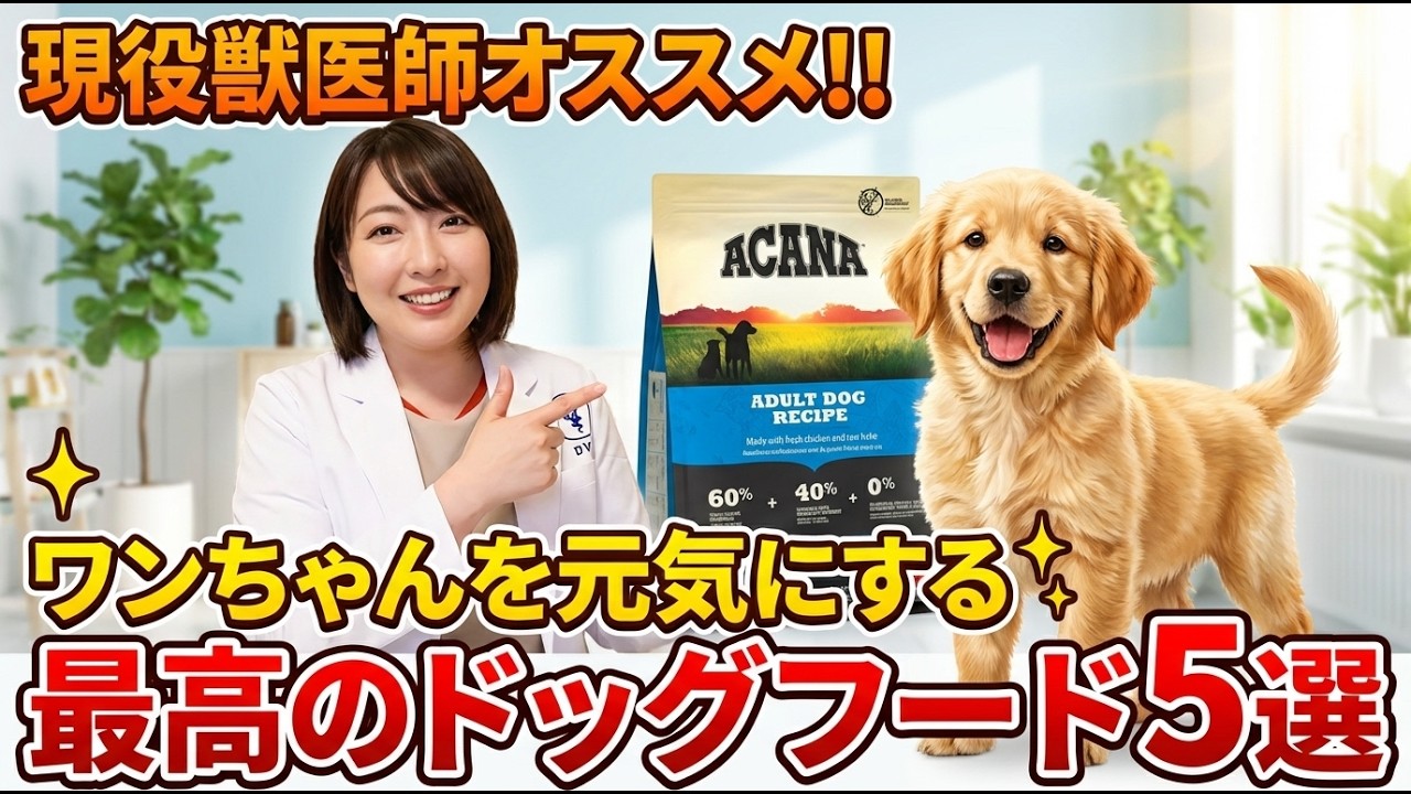 【ちゃんと選んで！】現役獣医師オススメ!!ワンちゃんを元気にする最高のドッグフード5選