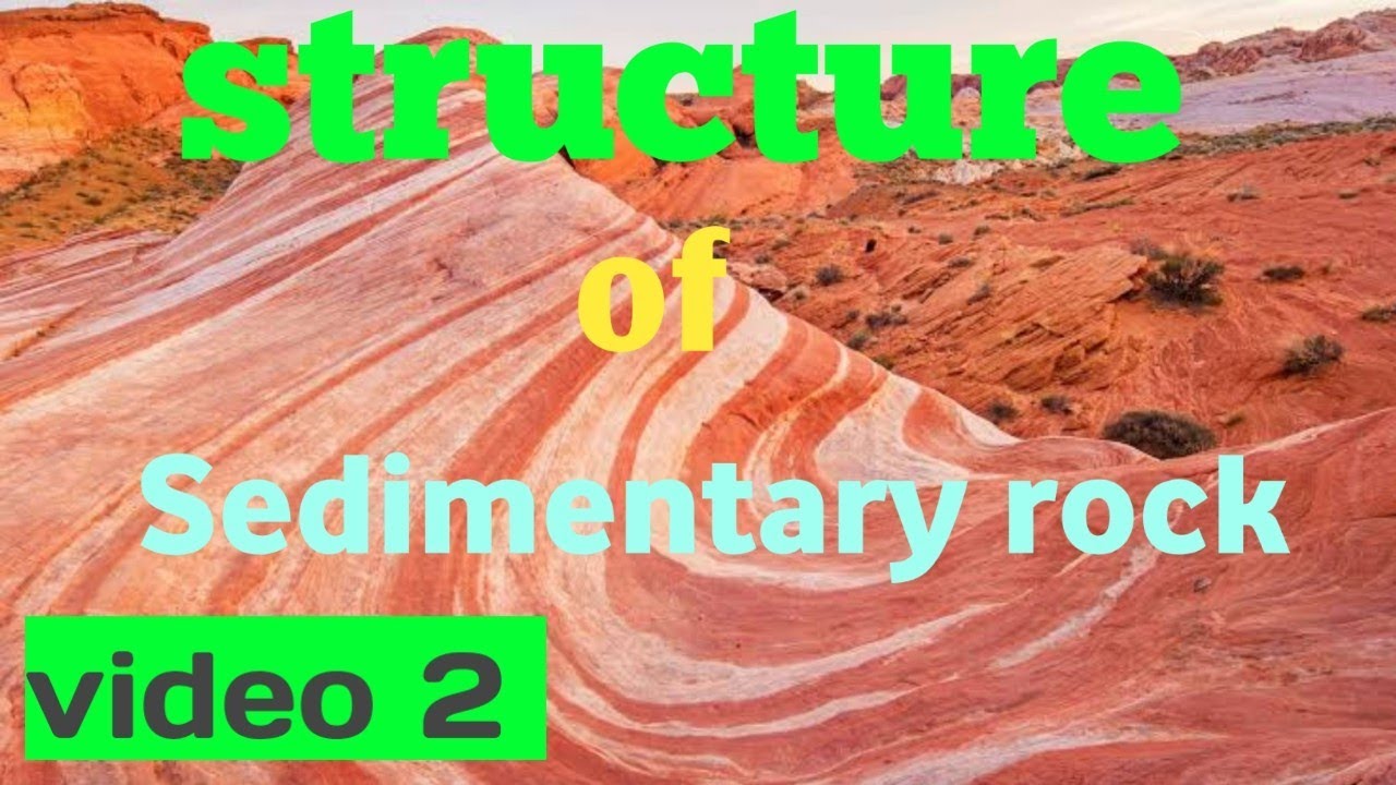 structure of Sedimentary rock (video-2) || 12th geology
