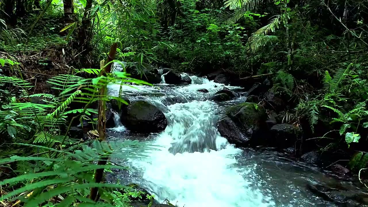 Copy of Nature river scene with it's mosey stone for relaxation | sleep - relax - enjoy life - ASMR