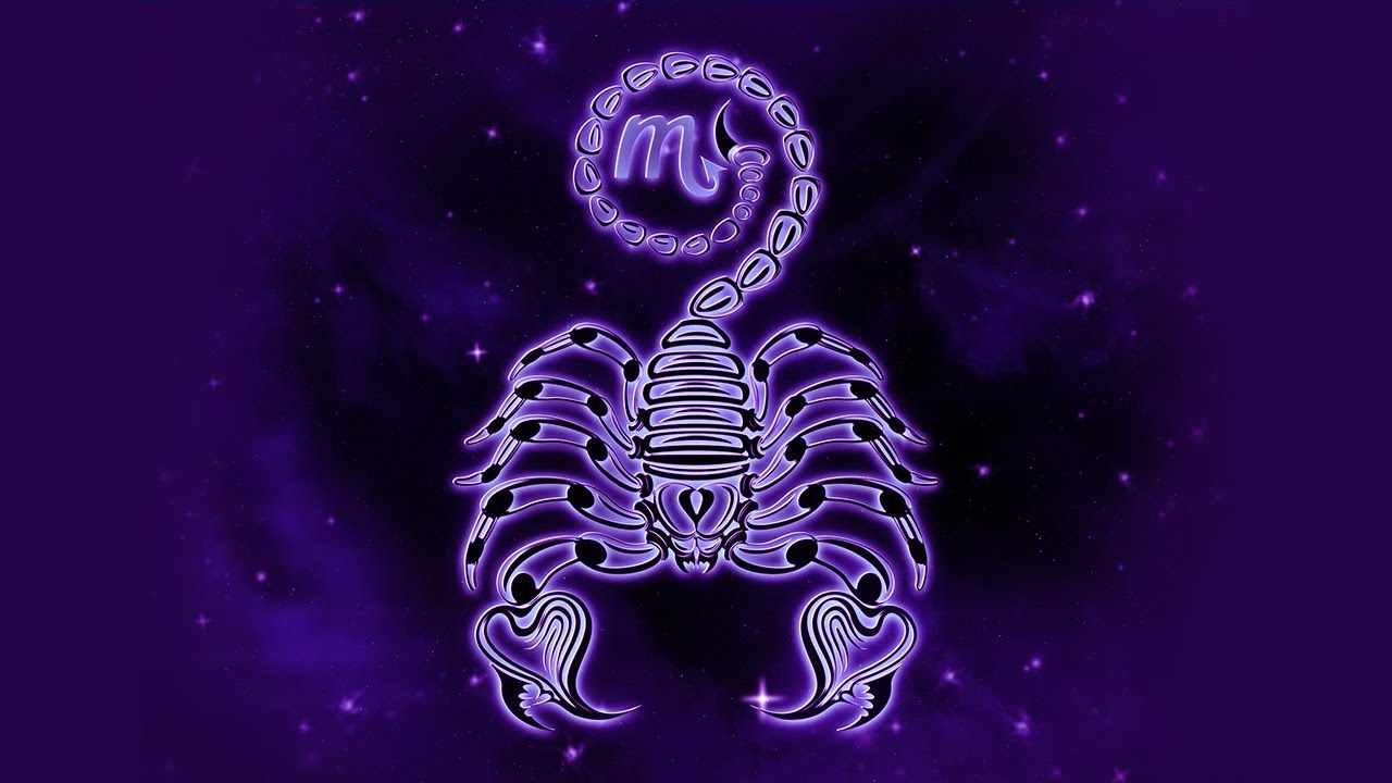 Manifest Scorpio Energy in your Life by Dream Seeds