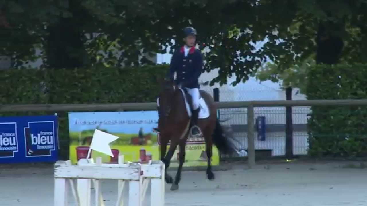 ABsolu de Peyruc - Finale CCE 4Ans - Pompadour - Aurélien LEROY