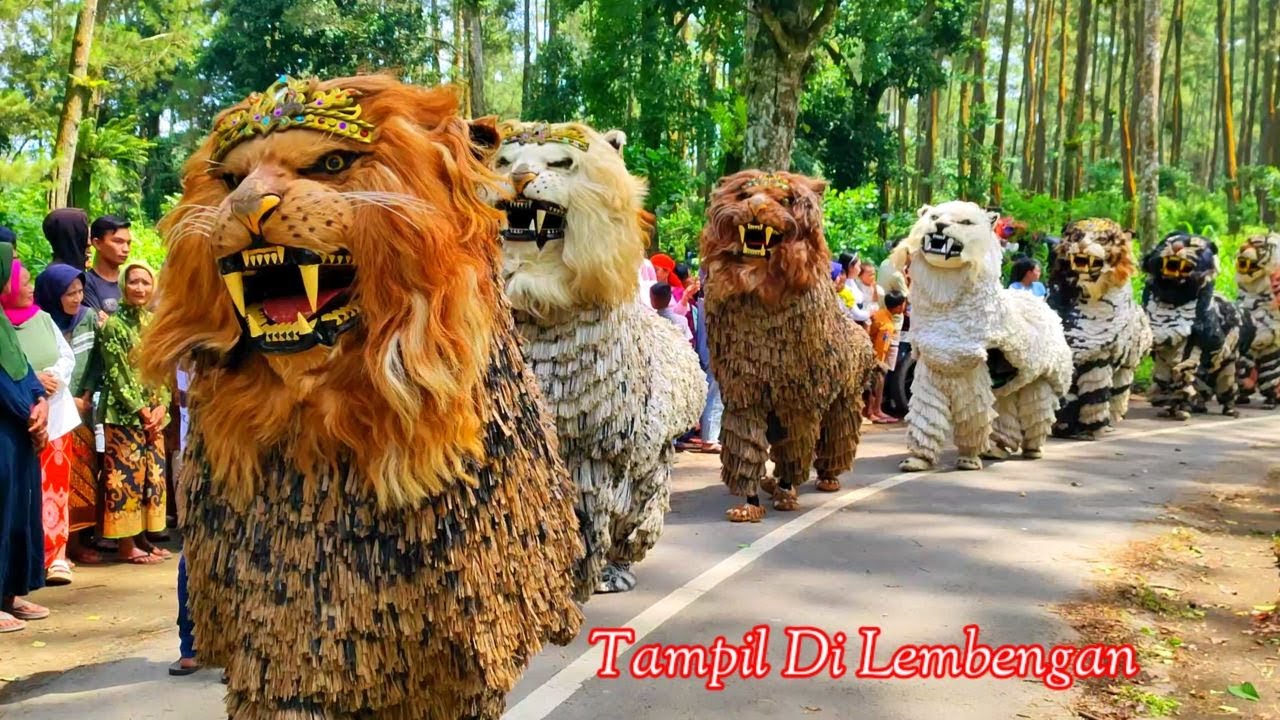 Special kirab Can macanan singo raungcilik Di undang acara haflatul imtihan tampil di lembengan