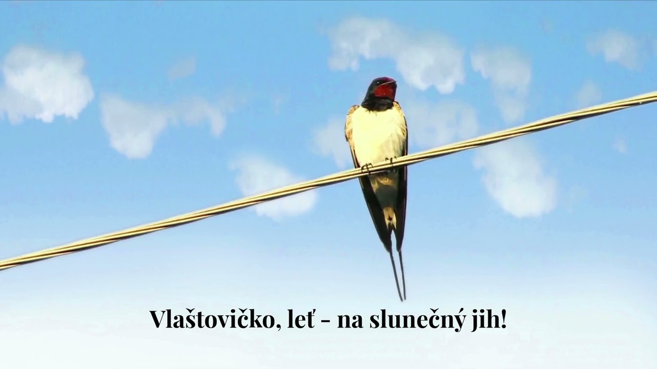 VLAŠTOVIČKO, LEŤ