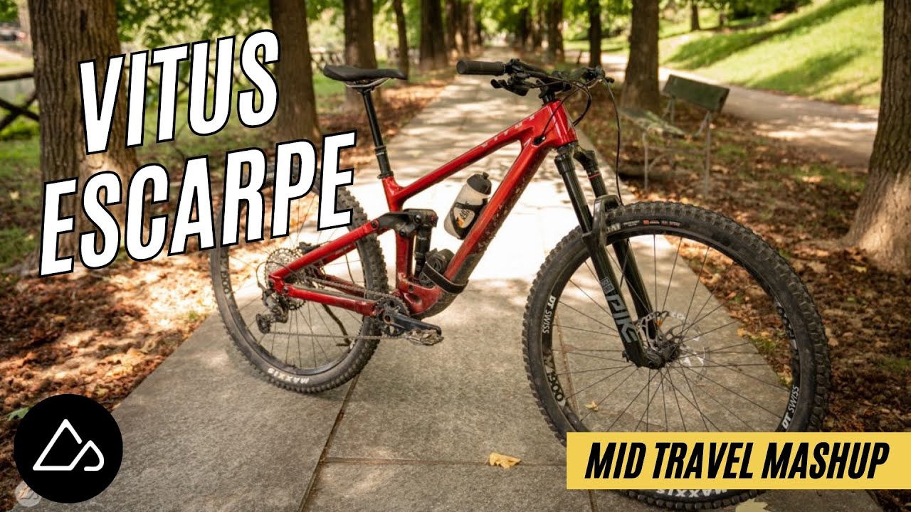 Vitus Escarpe 29 CRS Review: A Value-Priced Carbon Trail Bike That Dances [Mid-Travel Mashup]