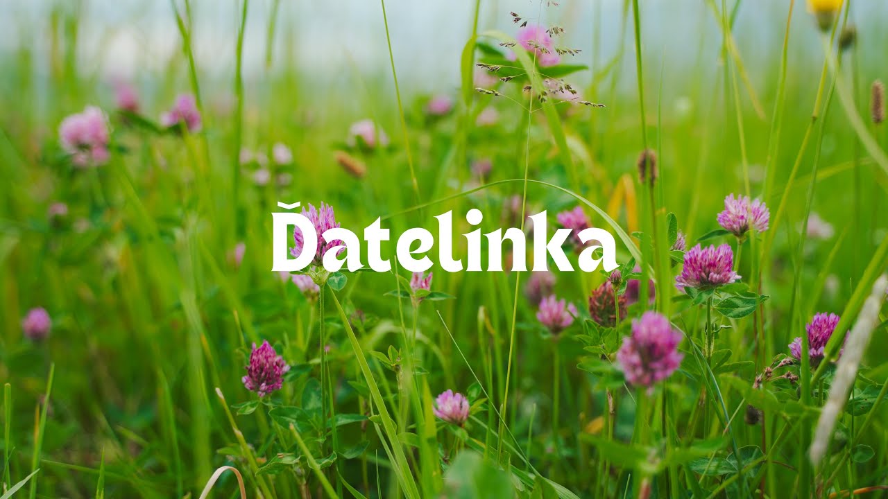 Helizušik - Ďatelinka