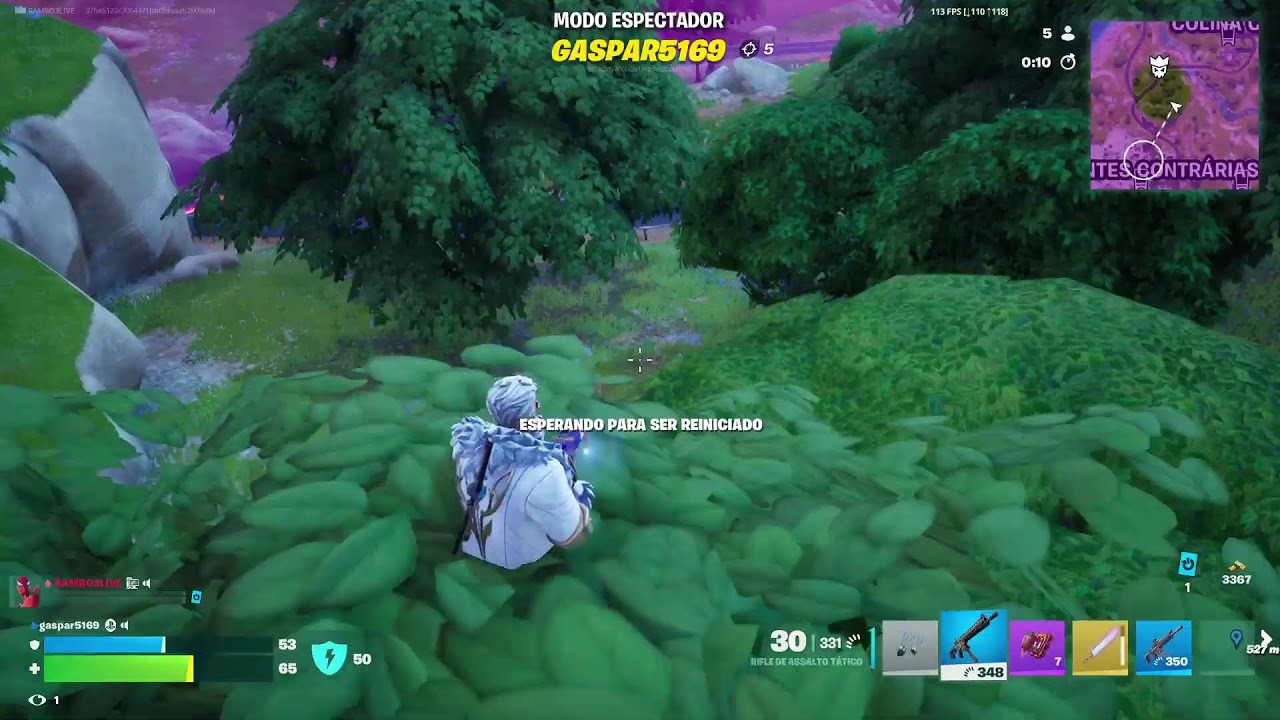 ( AO VIVO )