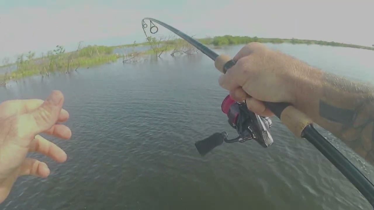 Indian River Lagoon - Nice Reds and a huge Snook heartbreaker