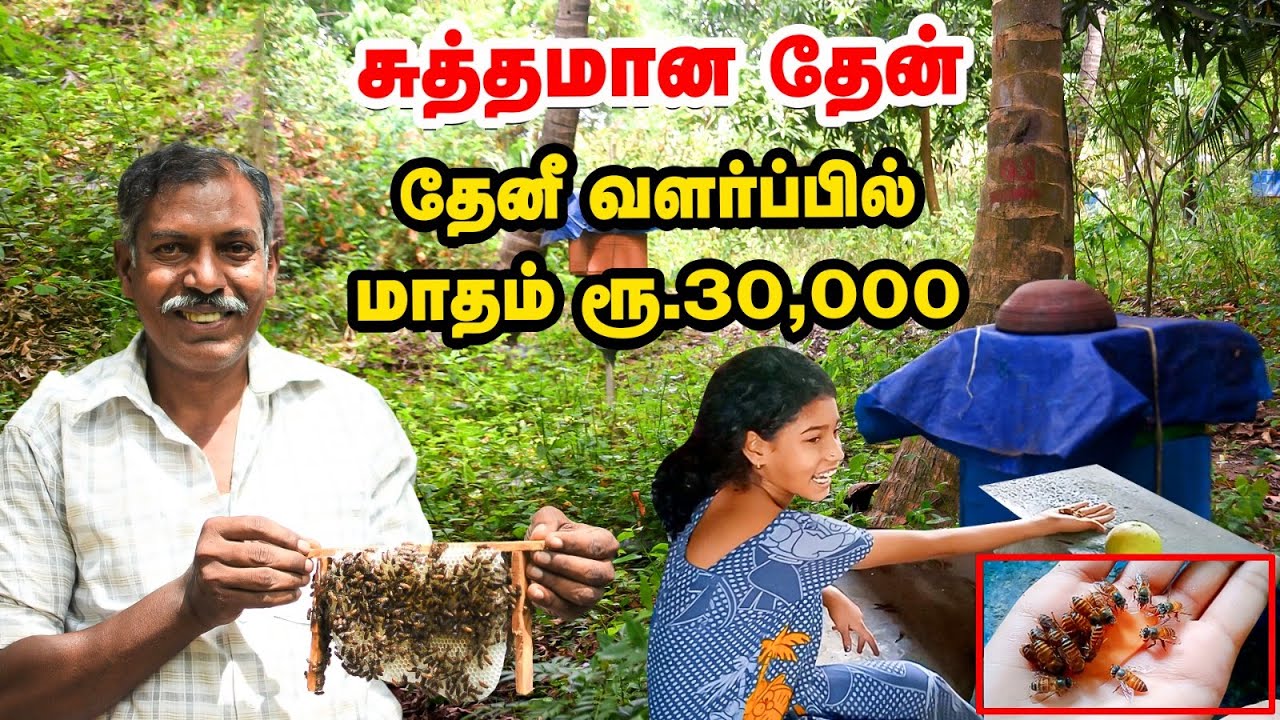 😱 தேனீக்களுக்கே தேன் ஊட்டும் சிறுமி 🤩 | தேன் வளர்ப்பில்  மாதம் 30,000 | Pure Honey | Pasumai vikatan