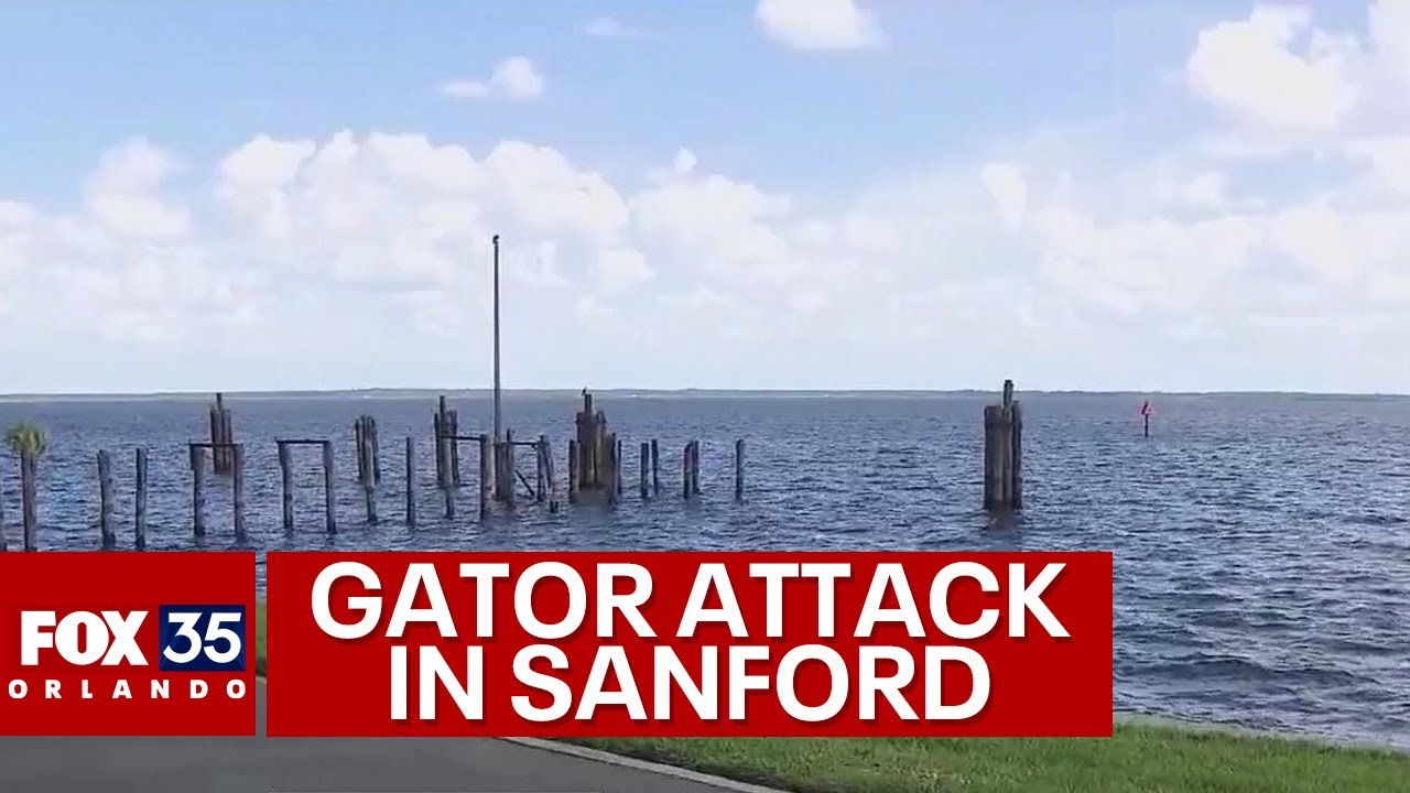 Florida man attacked by alligator while swimming in Seminole County lake