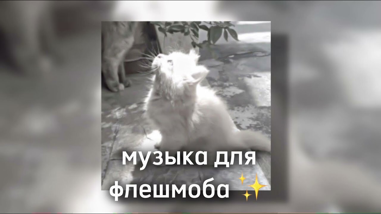 ✨ Музыка для флешмоба ✨