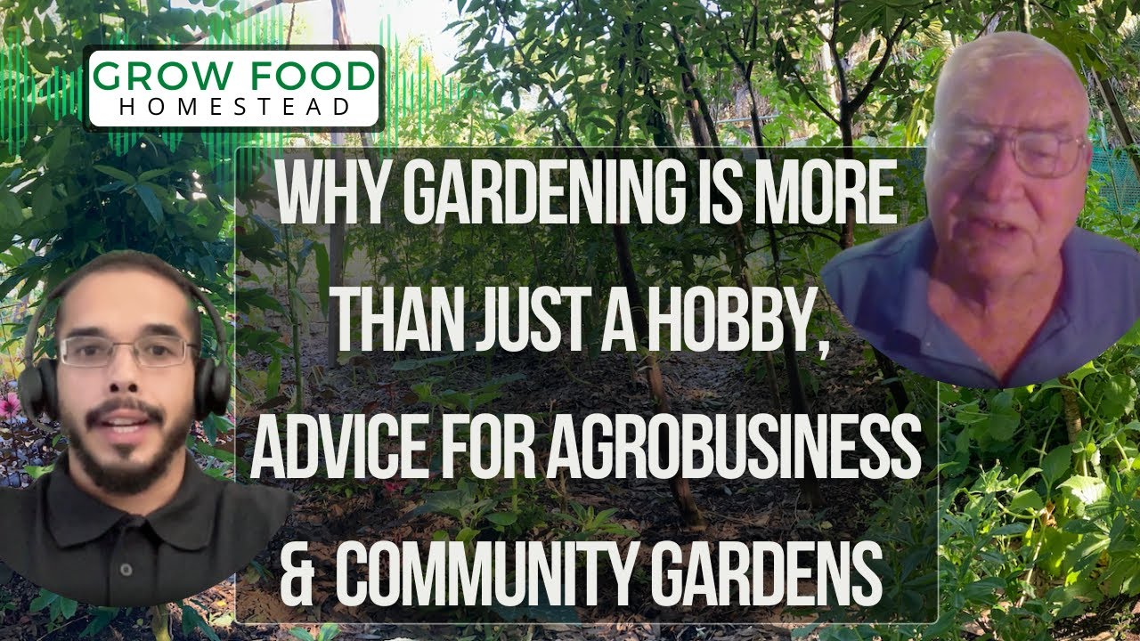 Gardening Is More Than Just A Hobbie, Community Gardens & Advice For Starting An Agrobusiness