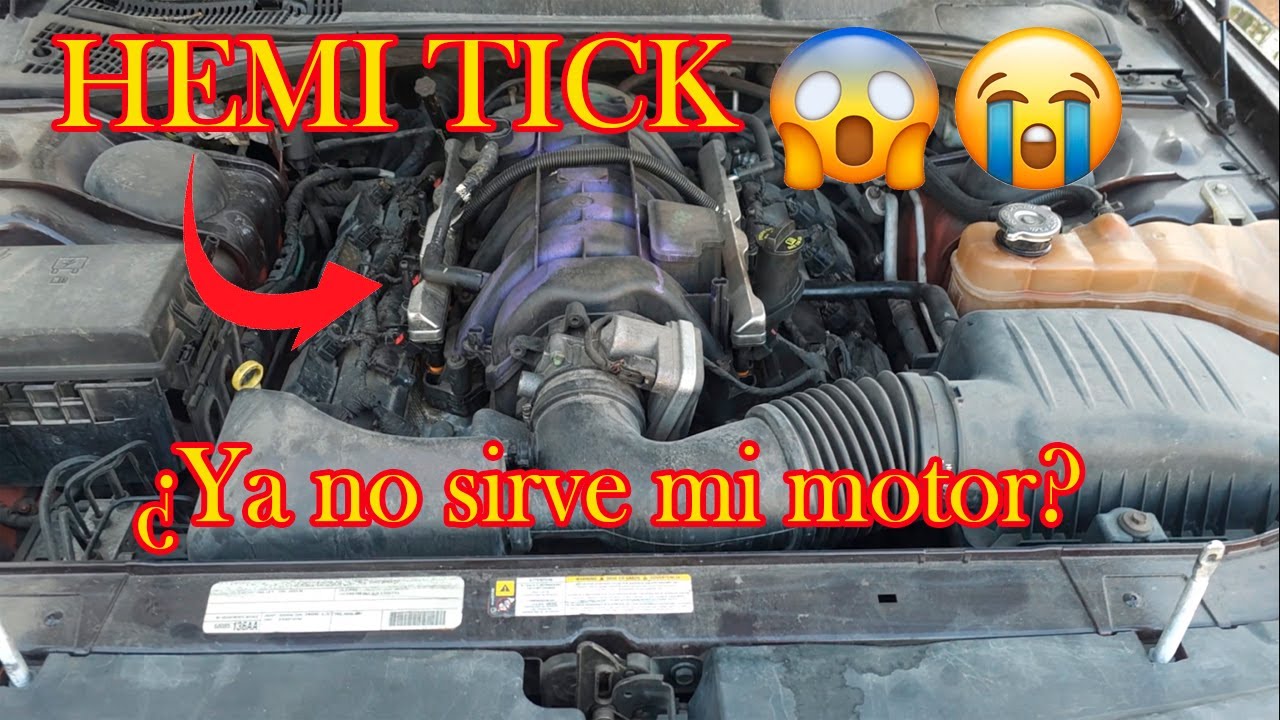 Hemi tick | ¿Qué es?, ¿Cómo lo prevengo?