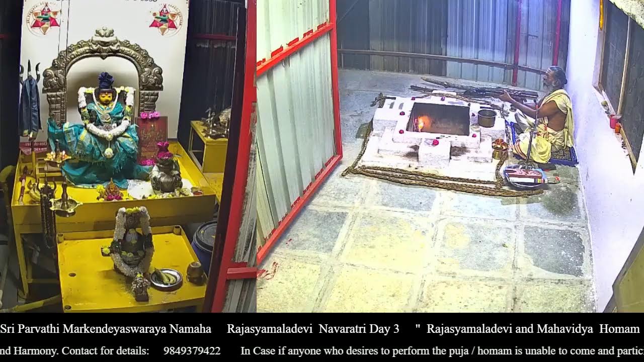 Rajasyamaladevi Navaratri Day 3