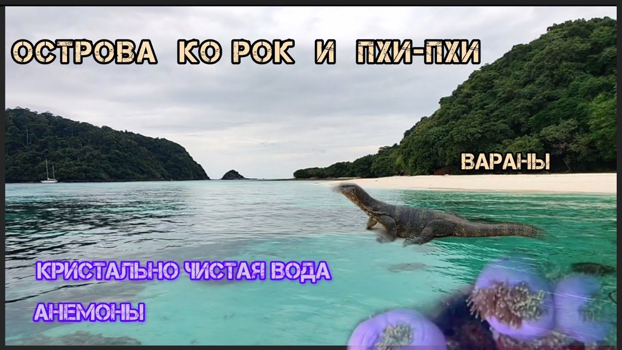 На острова Ко Рок - в третий раз. Зачем?  Ответ: за анемонами, варанами, изумрудной водой и тишиной