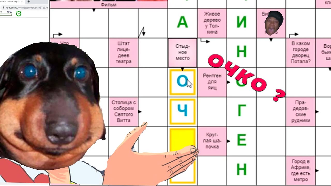 Dawg РАЗГАДЫВАЕТ КРАССВОРД + ТИК ТОК (Дэн)