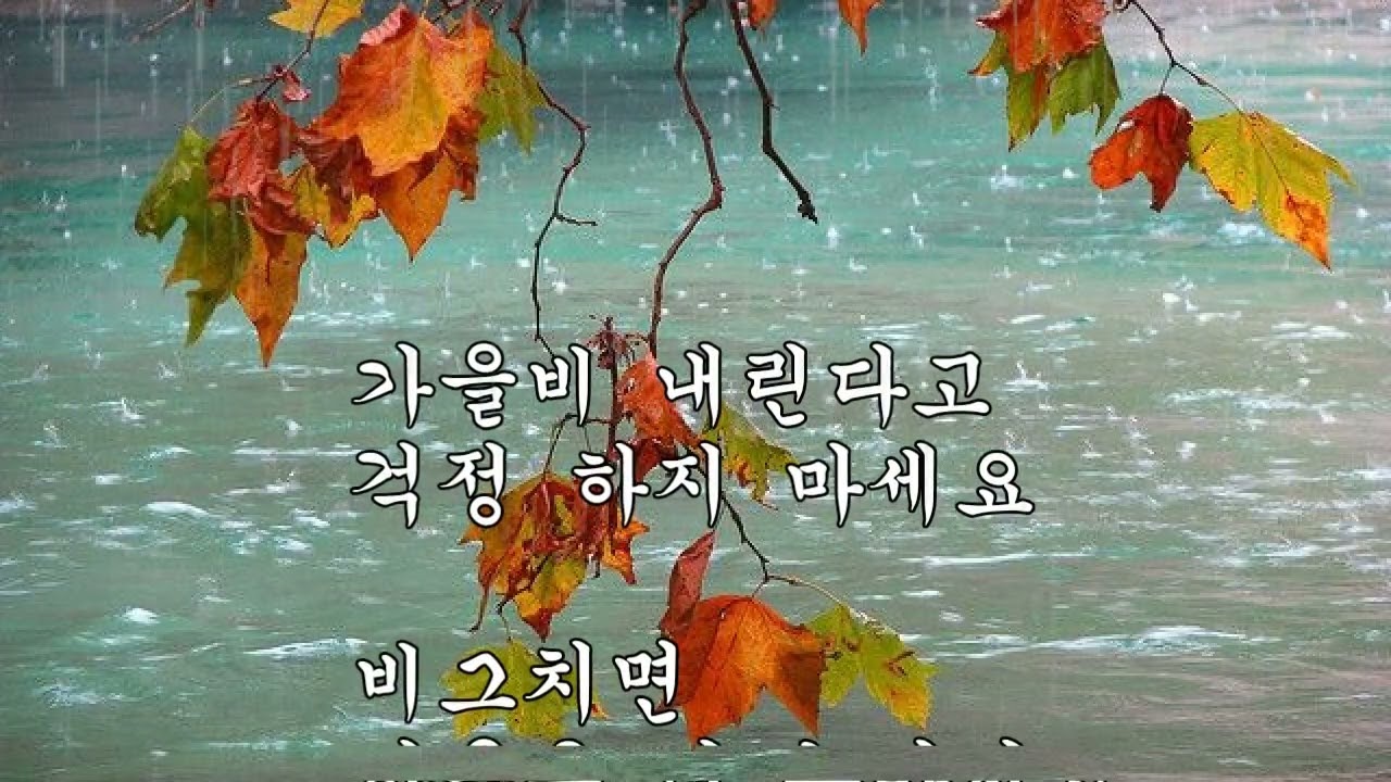 가을비 내린다고 윤보영 시