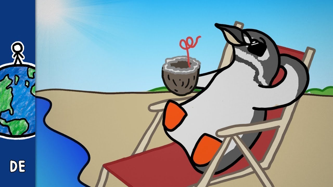 Warum gibt es Pinguine am &Auml;quator?