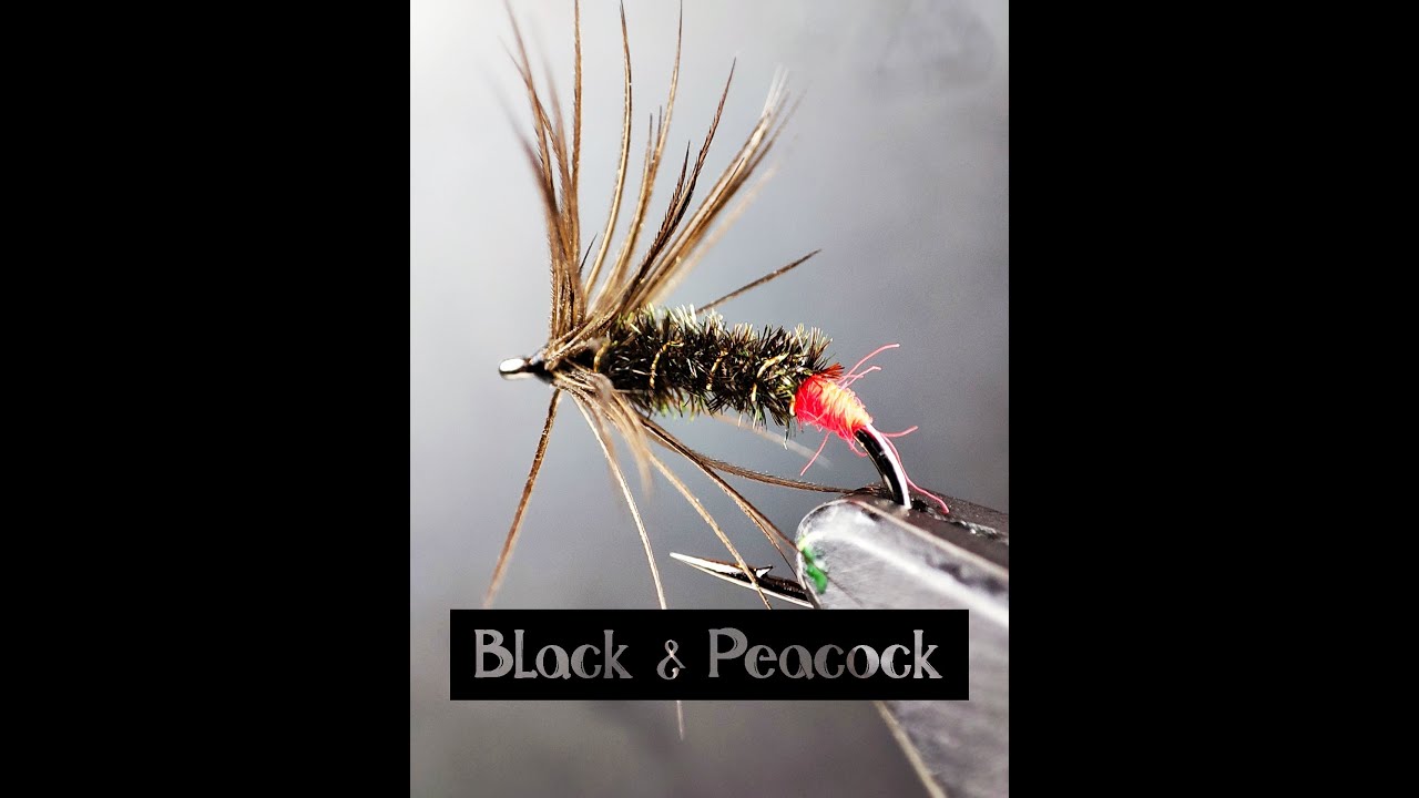 Avsnitt 39 - Black & Peacock - Bindhörnan 3.0 - Hökensås Sportfiske