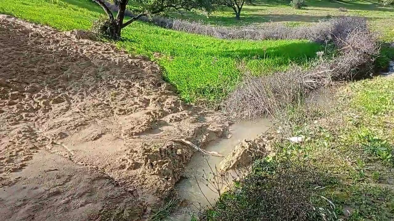 ٢٠ فبراير ٢٠٢٦