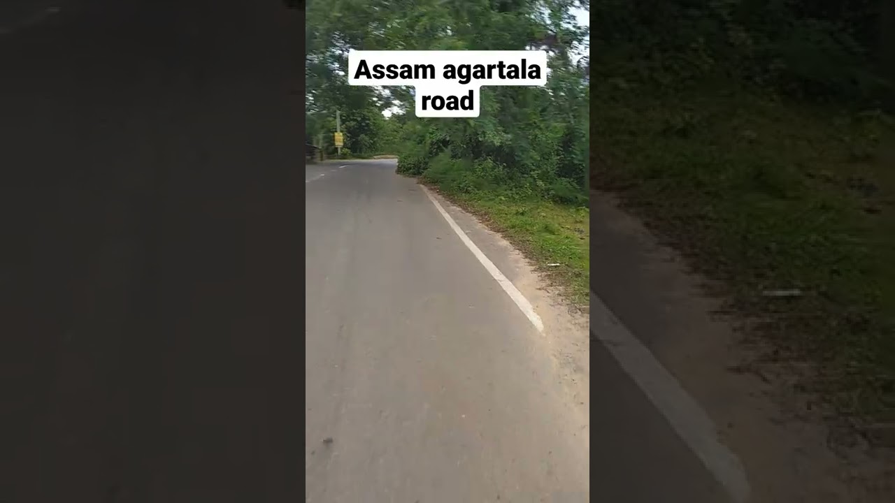Assam Agartala road #shorts #vlog