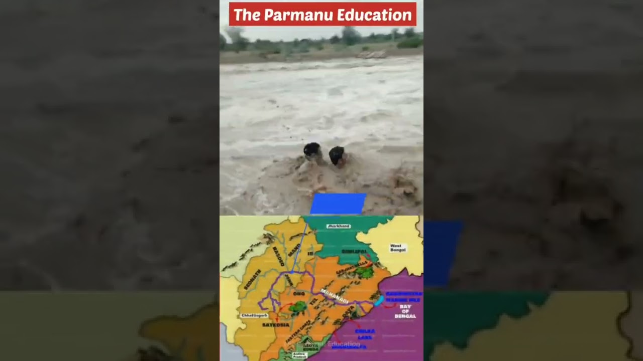 Mahanadi River in Odisha - In flood due to heavy rainfall #geography #monsoon #shorts #ias #shorts