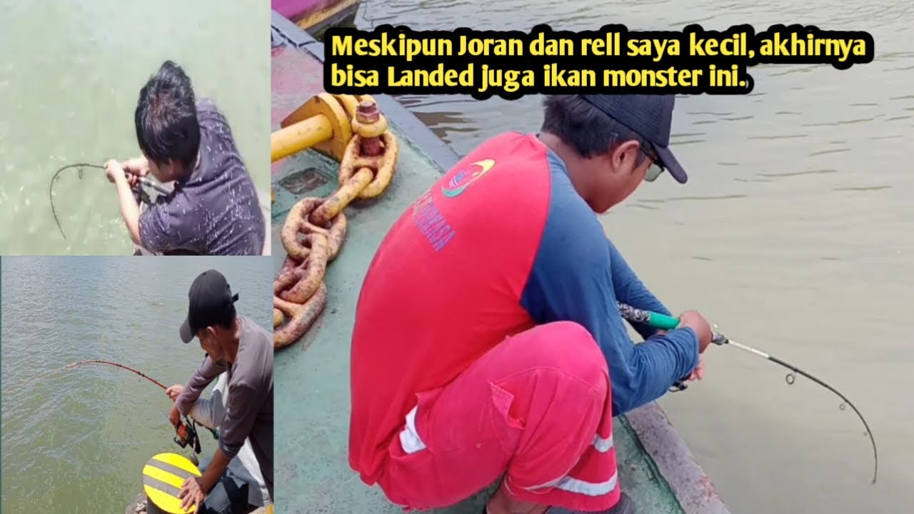 🔴Berkali-kali Benang Putus di Tarik ikan monster,Mengerikan😱😱😱