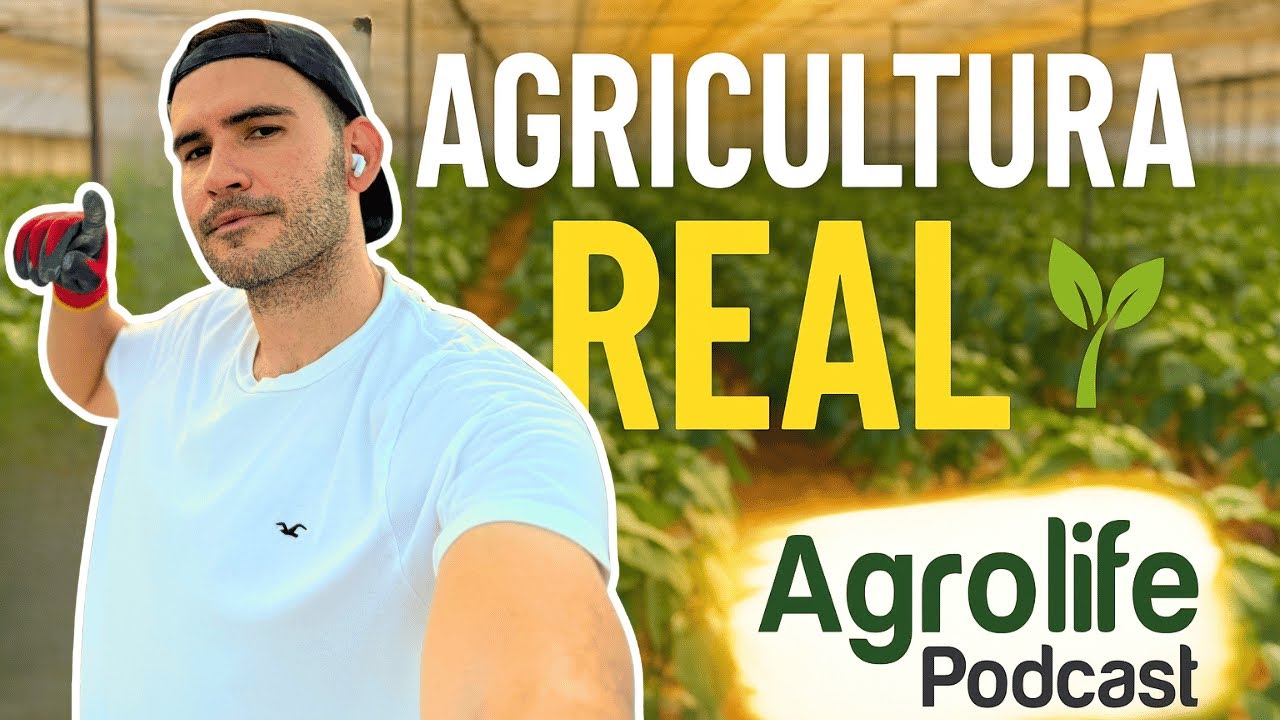 Подкаст о сельском хозяйстве, теплицах и агроиндустрии из Альмерии | GERMAN AGROLIFE