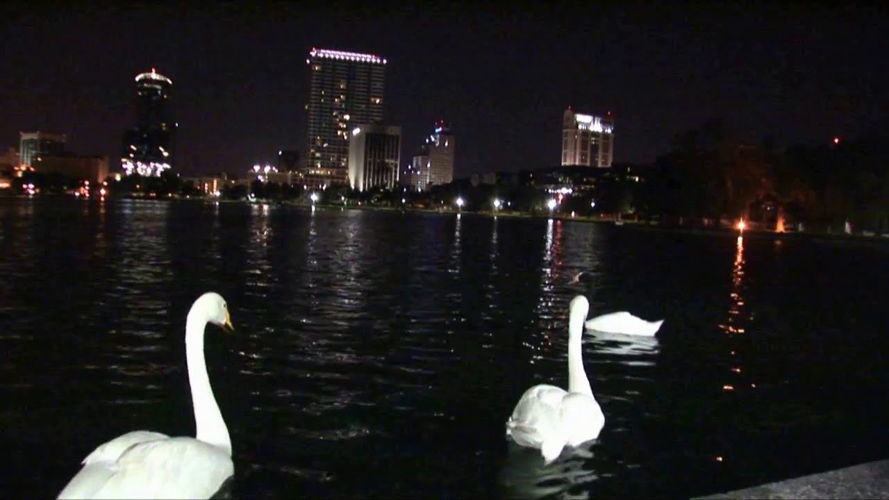 Orlando Florida Downtown Amazing Time Lapse in HD