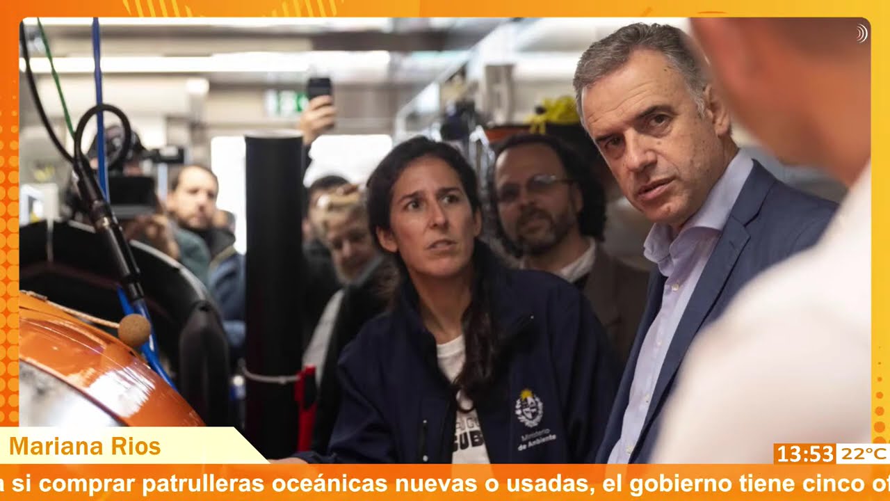 Emergencia - gripe aviar: Ambiente pidió no manipular fauna silvestre y avisar ante animales muertos