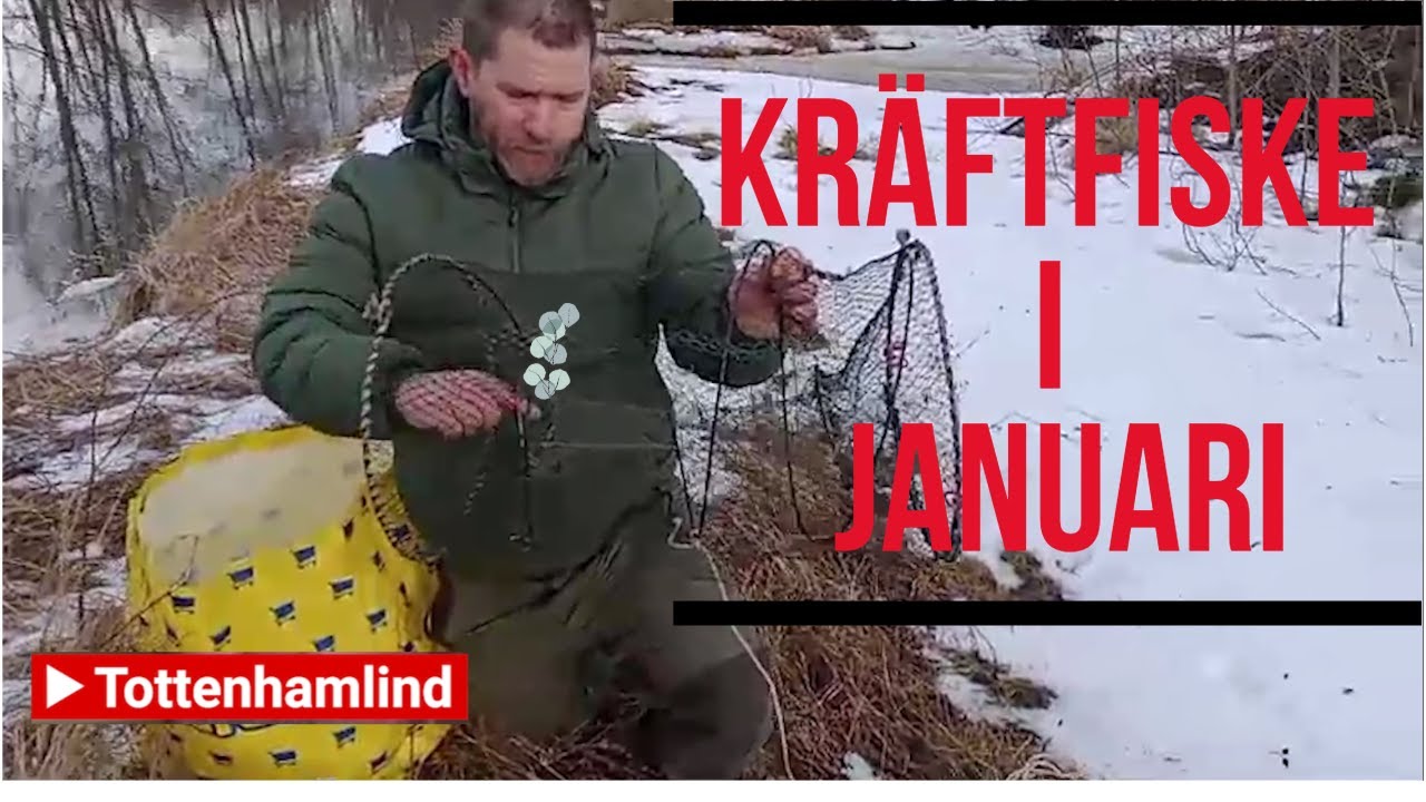 Kräftfiske i januari