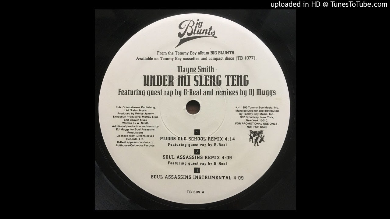 Wayne Smith FT. B-Real - Under Mi Sleng Teng (DJ Muggs Soul Assassins Remix)