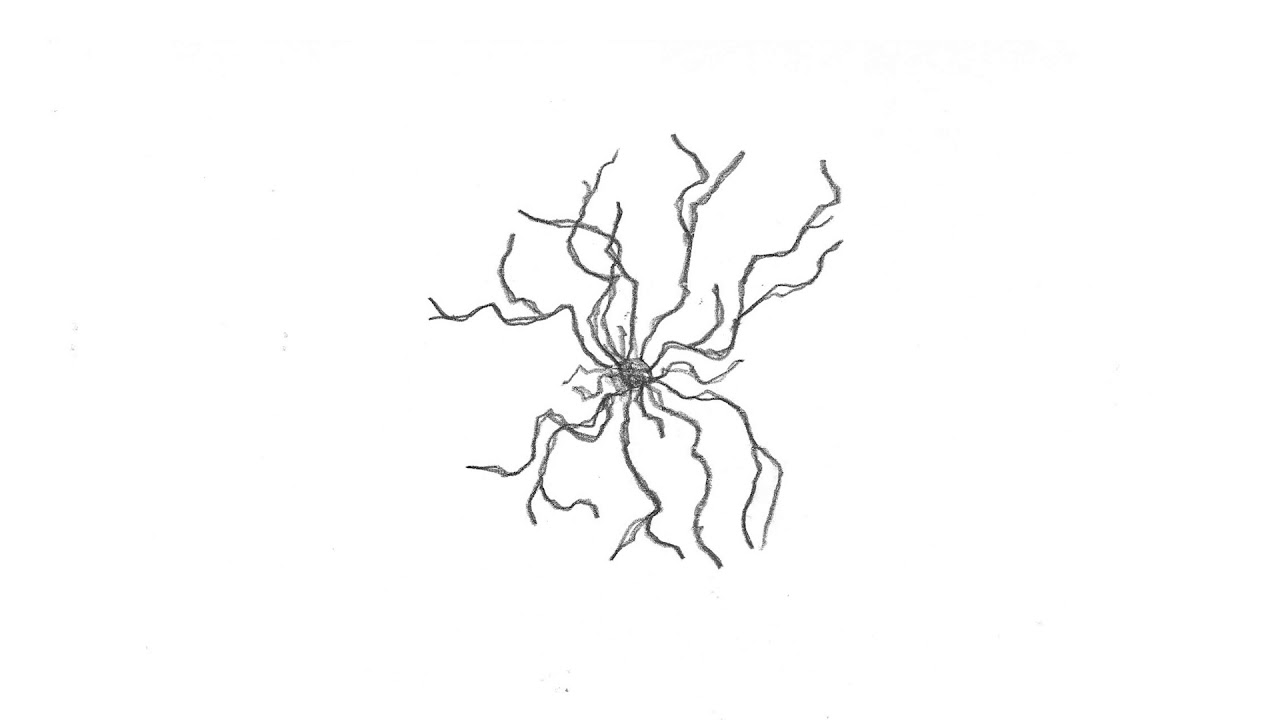 2020 05 27 200259
