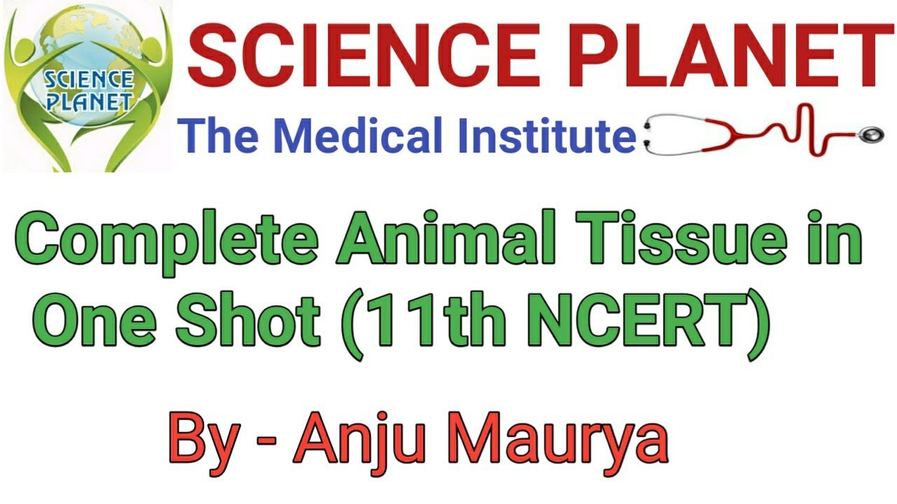 One shot lecture Of Animal Tissue ll NEET ll By- Anju Maurya ll