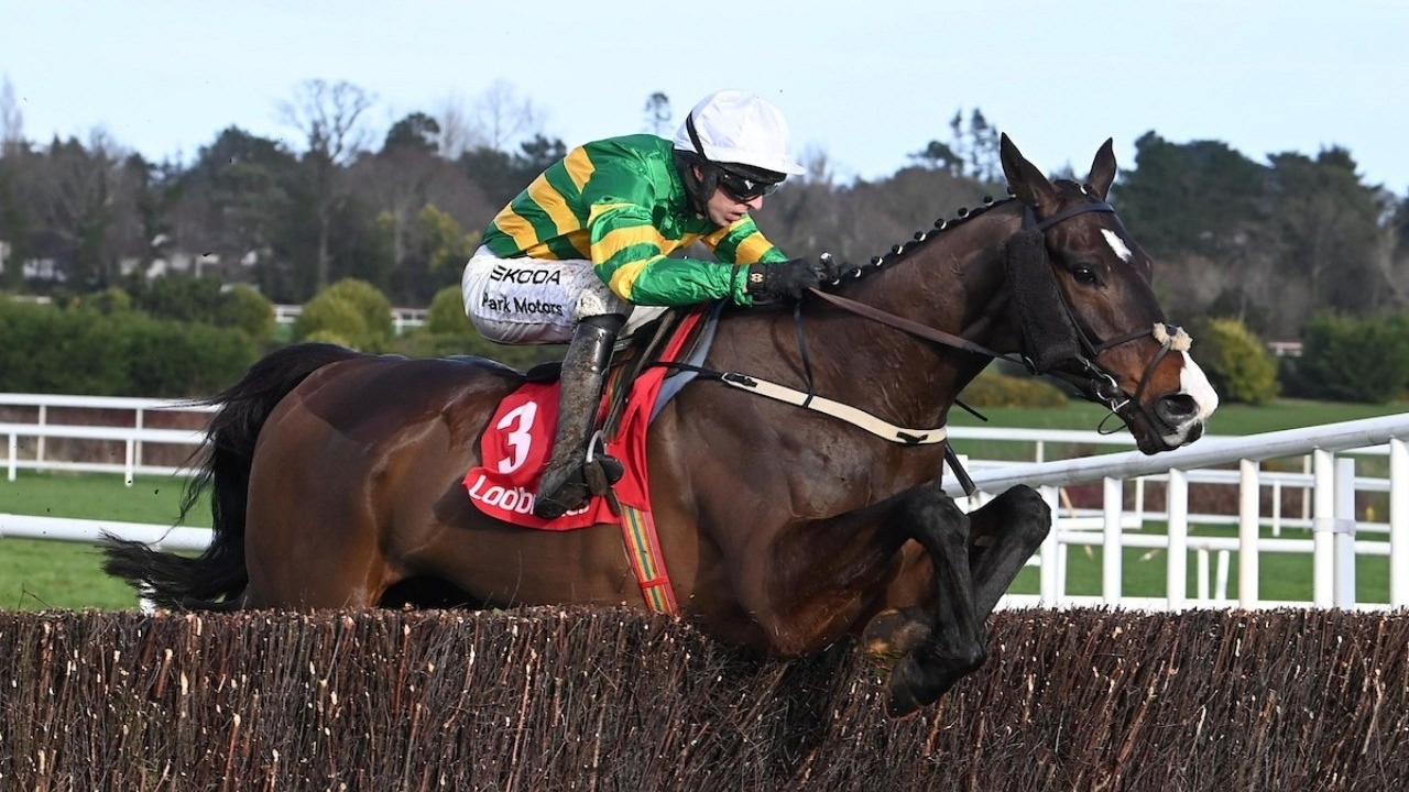 Mighty Majborough romps to Ladbrokes Dublin Chase glory | Leopardstown, 2026 | Full Race | Racing TV