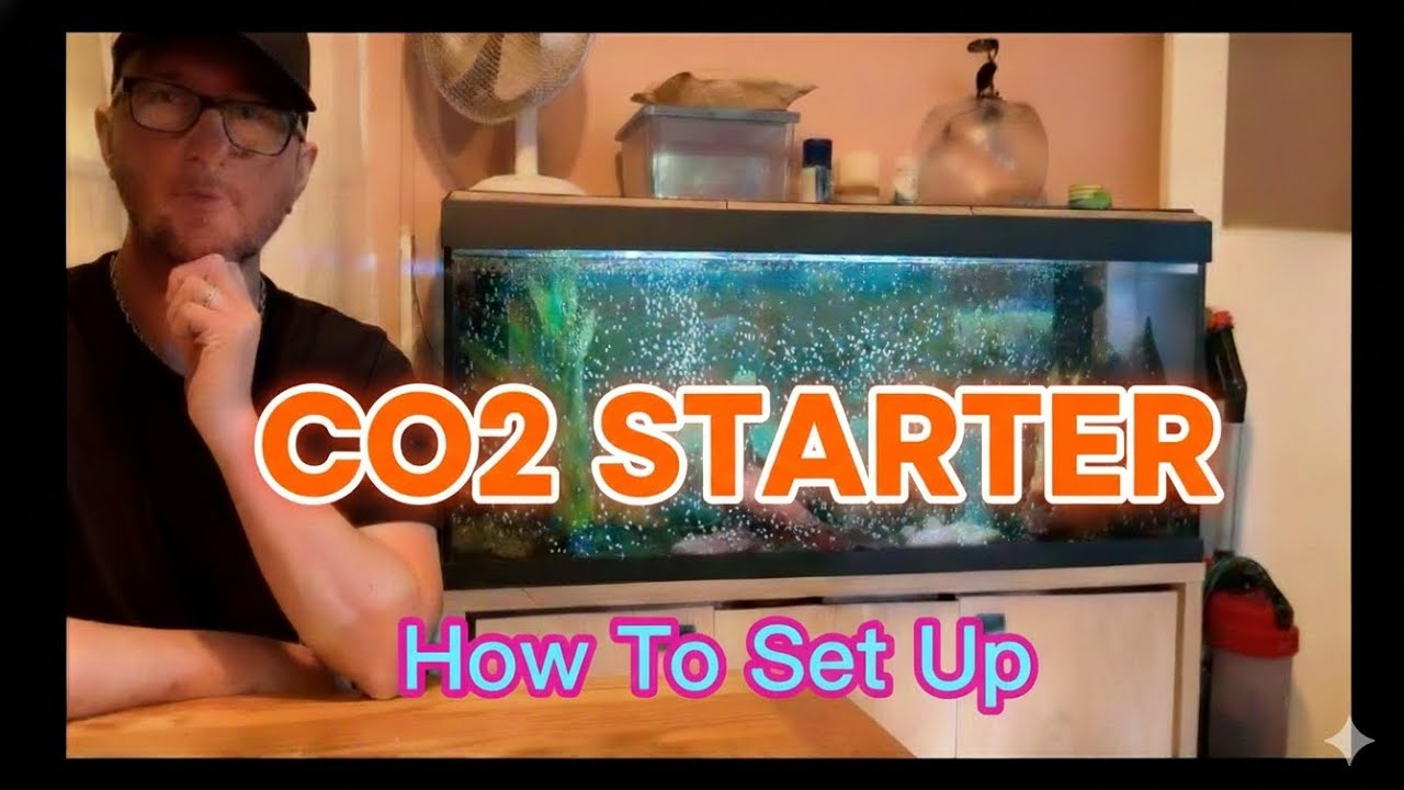 Dennerle CO2 Starter Kit. Everything you need to know on how to set it up.