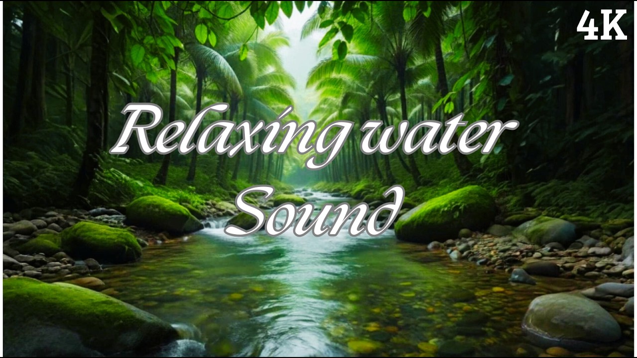 Forest Stream ASMR 💚 Gentle Running Water for Stress Relief & Calm Mind