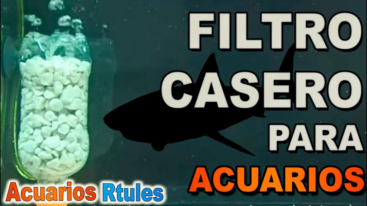 Cómo hacer un FILTRO CASERO para ACUARIO | FUNCIONA |🐠🌱