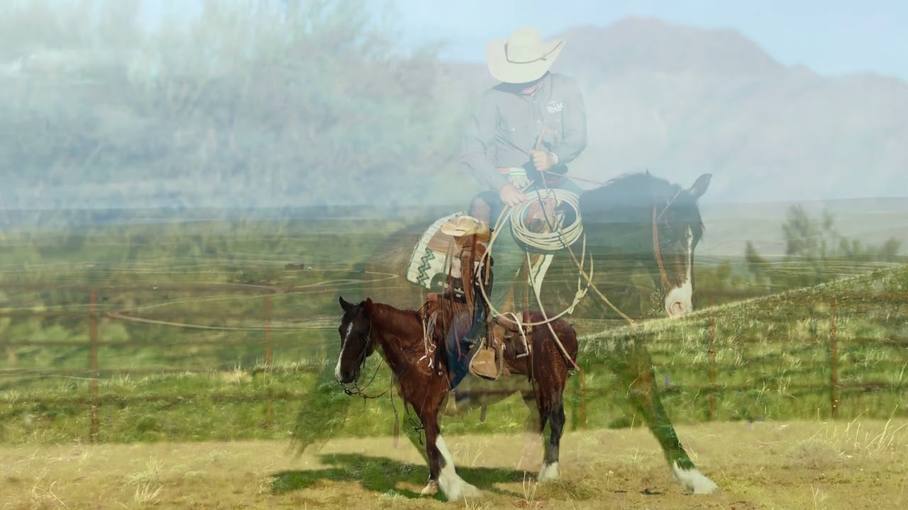 “Clint” a Spanish Barb Gelding Lot 48 in the Art Of The Cowgirl Sale February 28 2026 Wickenburg Az 