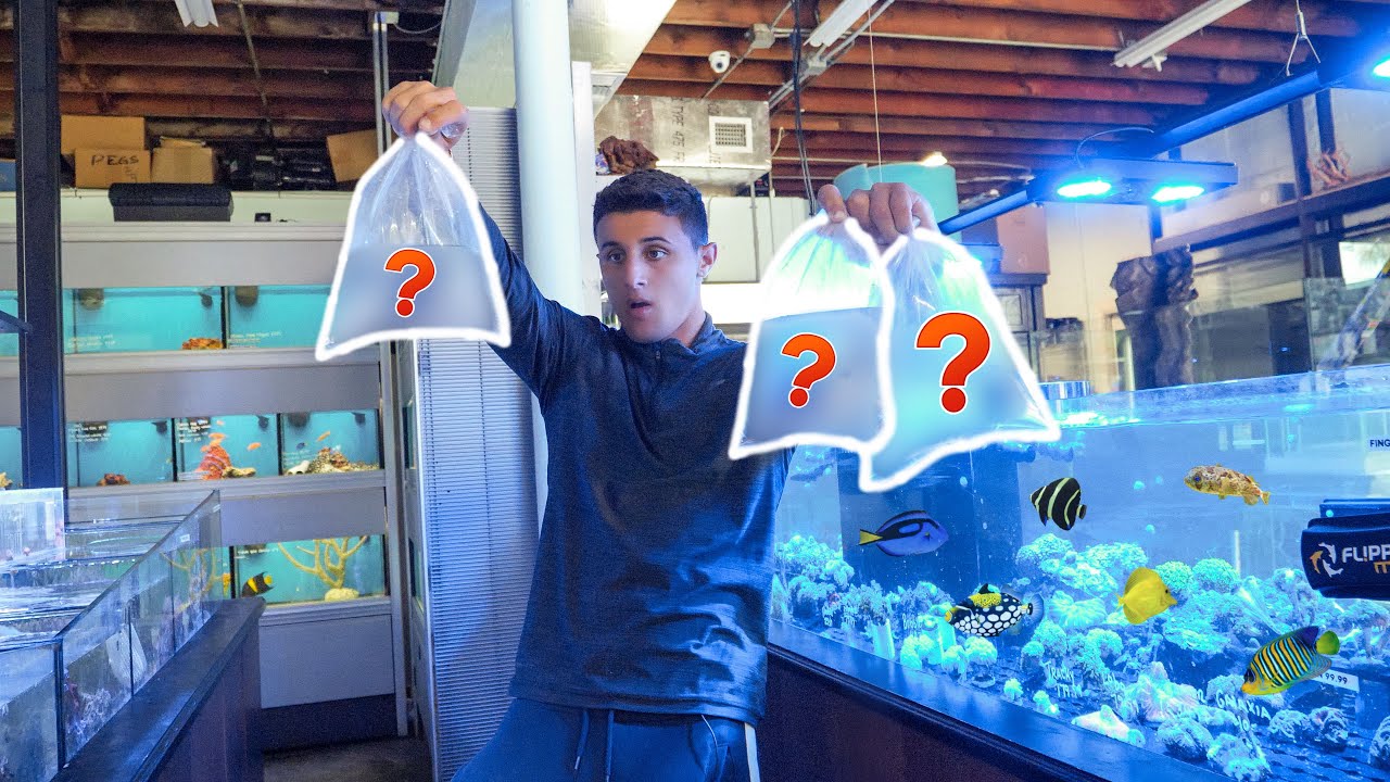 Buying EXOTIC FISH For My AQUARIUM!! *NEW*