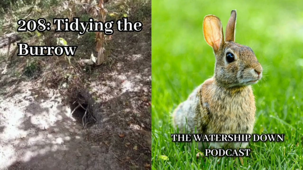 208: Tidying the Burrow